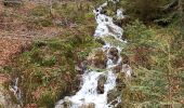 Tocht Stappen Bussang - camping du champé cascade de l'ours - Photo 1