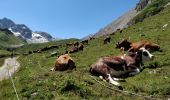 Excursión Senderismo Aussois - Aussois à Peclet - Photo 20