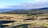 Trail Walking Sangatte - Le Cap Blanc-Nez et les hauts de Sangatte  - Photo 5