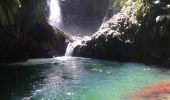 Excursión Senderismo Bouillante - Cascade bois malasé - Photo 2