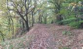 Trail Walking Chaudfontaine - via bois des dames et bois de la rochette  - Photo 15
