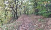 Percorso Marcia Chaudfontaine - via bois des dames et bois de la rochette  - Photo 15