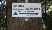 Trail Walking Linthal - Dauviller - Markstein (25/08/2022) - Photo 1
