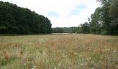 Tocht Te voet Märkische Heide - Wanderweg Große Leuthen-Dollgen-Glietz - Photo 6