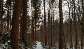 Tocht Stappen Halle - bois de hal- reebokwandeling - Photo 2