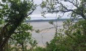 Tour Wandern Saint-Cast-le-Guildo - ballade plage de la Fosse et Moulin à marée  - Photo 10