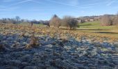 Randonnée Marche Houffalize - Wibrin - Photo 6