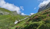 Tour Wandern Pralognan-la-Vanoise - Pralognan, Lac des Vaches par le téléphérique  - Photo 10