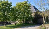 Tour Wandern Limburg - Limbourg - Photo 10