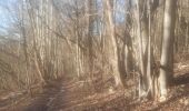 Randonnée Marche Chaudfontaine - petit tour dans le bois d Embourg - Photo 15