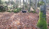 Tour Wandern Corrençon-en-Vercors - champignon2 - Photo 1