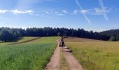 Trail Horseback riding Le Tholy - 2022-06-02 Rando CVA Le Tholy Tête des Cuveaux - Photo 3