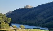 Tocht Stappen Esparron - ESPARON 05 . Lac de Peyssier . Col de  Peyssier o s - Photo 3