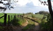 Trail Walking Marche-en-Famenne - Champlon - Boucle qui alterne sous-bois et vues dégagées à 360°. Larges sentiers caillouteux et un peu de macadam.  - Photo 3