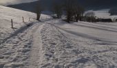 Tour Wandern Autrans-Méaudre en Vercors - 38 Autrans neige - Photo 2