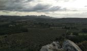 Trail Walking Mouriès - caisses de jean jean/canal des baux - Photo 6