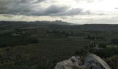 Tocht Stappen Mouriès - caisses de jean jean/canal des baux - Photo 6