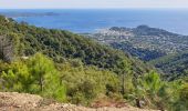 Trail Trail Cavalaire-sur-Mer - cavalaire, le dattier par les DFCI - Photo 2