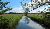 Tour Zu Fuß Schwielochsee - Wanderweg grüner Balken Groß Leuthen-Goyatz - Photo 5