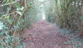 Tour Wandern Valorbiquet - Aux alentours de St Cyr du Ronceray  - Photo 6