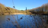Trail Walking Dinant - Randonnée - Photo 13