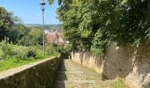 Randonnée Marche Nogent-le-Rotrou - NOGENT LE ROTROU - Photo 9