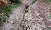 Tocht Stappen Orgeix - col de l'Osque 2021 - Photo 4