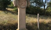 Randonnée Marche Hohengœft - Chemin de croix baptême Loulou  - Photo 8