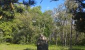 Randonnée Marche Valserres - Chapelle Saint Maurice.  - Photo 8