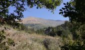 Tocht Stappen La Roche-des-Arnauds - Circuit de la Gerle - Photo 4