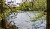 Trail Walking Froidchapelle - La balade du bois du Grand Oupia aux lacs de l'eau d'heure - Photo 17