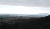 Trail Walking Conilhac-Corbières - CONILHAC - lausines - Photo 4