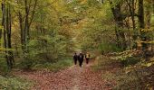 Randonnée Marche Choisy-au-Bac - Choisy au Bac - Photo 7