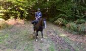 Trail Horseback riding Habay - Marbehan 9 octobre 2022e - Photo 6