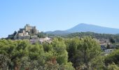 Randonnée Marche Le Barroux - PF-Le Barroux - Monastère-Le Barroux-La Roque Alric - Photo 12