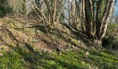 Trail Walking Saint-Jean-sur-Mayenne - Château de la Merveile - Photo 8