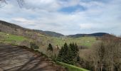 Tour Mountainbike Urbach bei Kaysersberg - Fréland - cimetière Duchesne - Photo 2