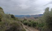 Tocht Stappen Port-Vendres - anse des paulilles - cap bear / retour par les vignes - Photo 4