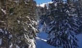 Trail Snowshoes Corrençon-en-Vercors - Vers le Pas Ernadant et ses cabanes - Photo 7