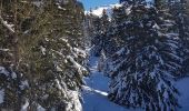 Percorso Racchette da neve Corrençon-en-Vercors - Vers le Pas Ernadant et ses cabanes - Photo 7