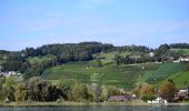 Randonnée A pied Stäfa - Stäfa. Ein Dorf bewegt: Mutzmalen - Lattenberg - Photo 10