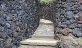 Tocht Stappen Santa Brígida - Cratère de Bandama (Gran Canaria) - Photo 12