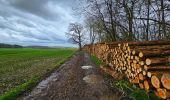 Tocht Stappen Mettet - De Stave à Biesmerée - Photo 15