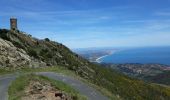 Tocht Stappen Collioure - Tour de Madaloc - Photo 5