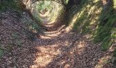 Trail Walking Callac - un tam tro Kallag 22 - Photo 2