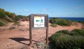 Trail Walking Ciutadella - cala pilar - Photo 1