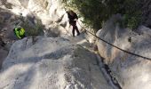Trail Walking Ollioules - Destel azur  - Photo 13