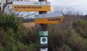 Percorso Marcia Le Cannet-des-Maures - 20240121 Les Escarcets  - Photo 5