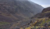 Tour Wandern Asni - Toubkal  - Photo 10