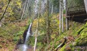 Excursión Senderismo Bad Rippoldsau-Schapbach - Bad Rippoldsau - cascade de Burgbach – lac de retenue Kinzig -  cascade du Büstenloch - Photo 14